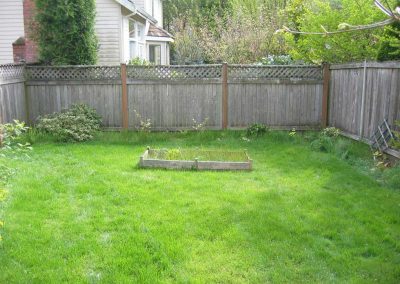 This before photo shows a boring lawn with no interest